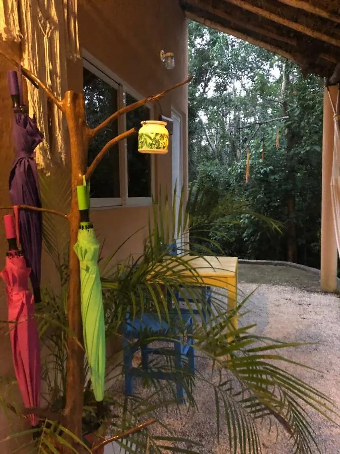Bed and Breakfast Casa Tzalam Tulum Selva