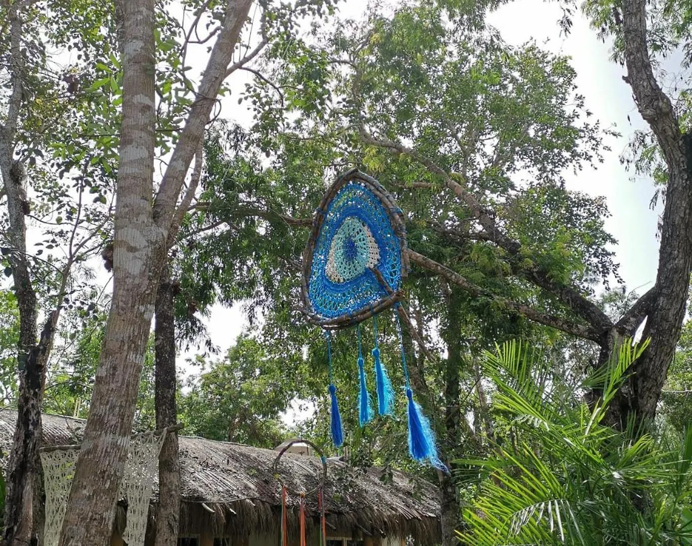 Bed and Breakfast Casa Tzalam Tulum Selva México