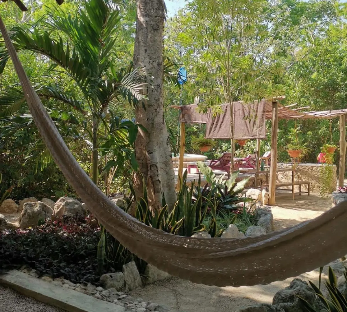 ***  Bed and Breakfast Casa Tzalam Tulum Selva México