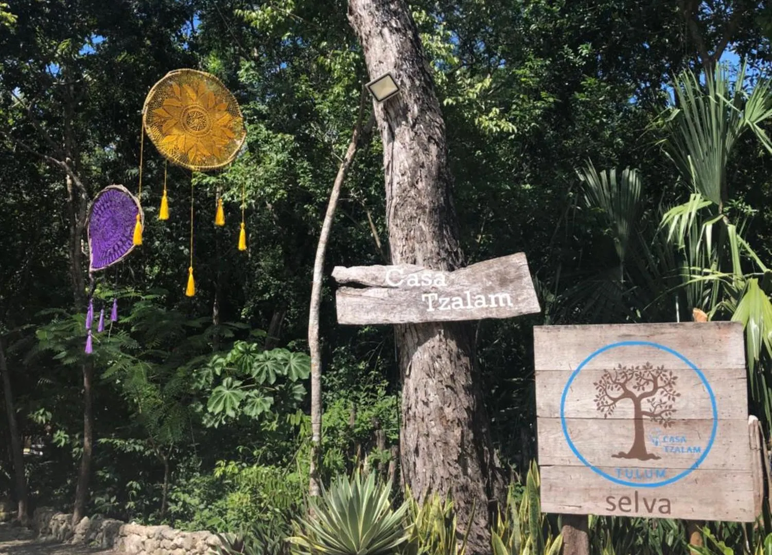 Bed and Breakfast Casa Tzalam Tulum Selva