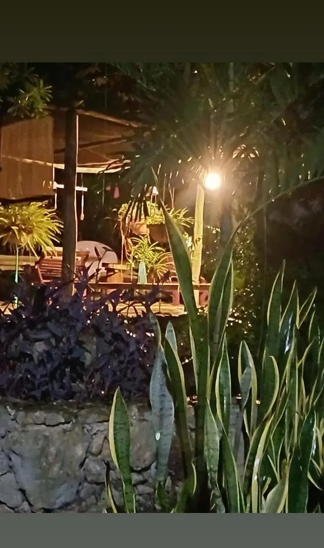 Bed and Breakfast Casa Tzalam Tulum Selva