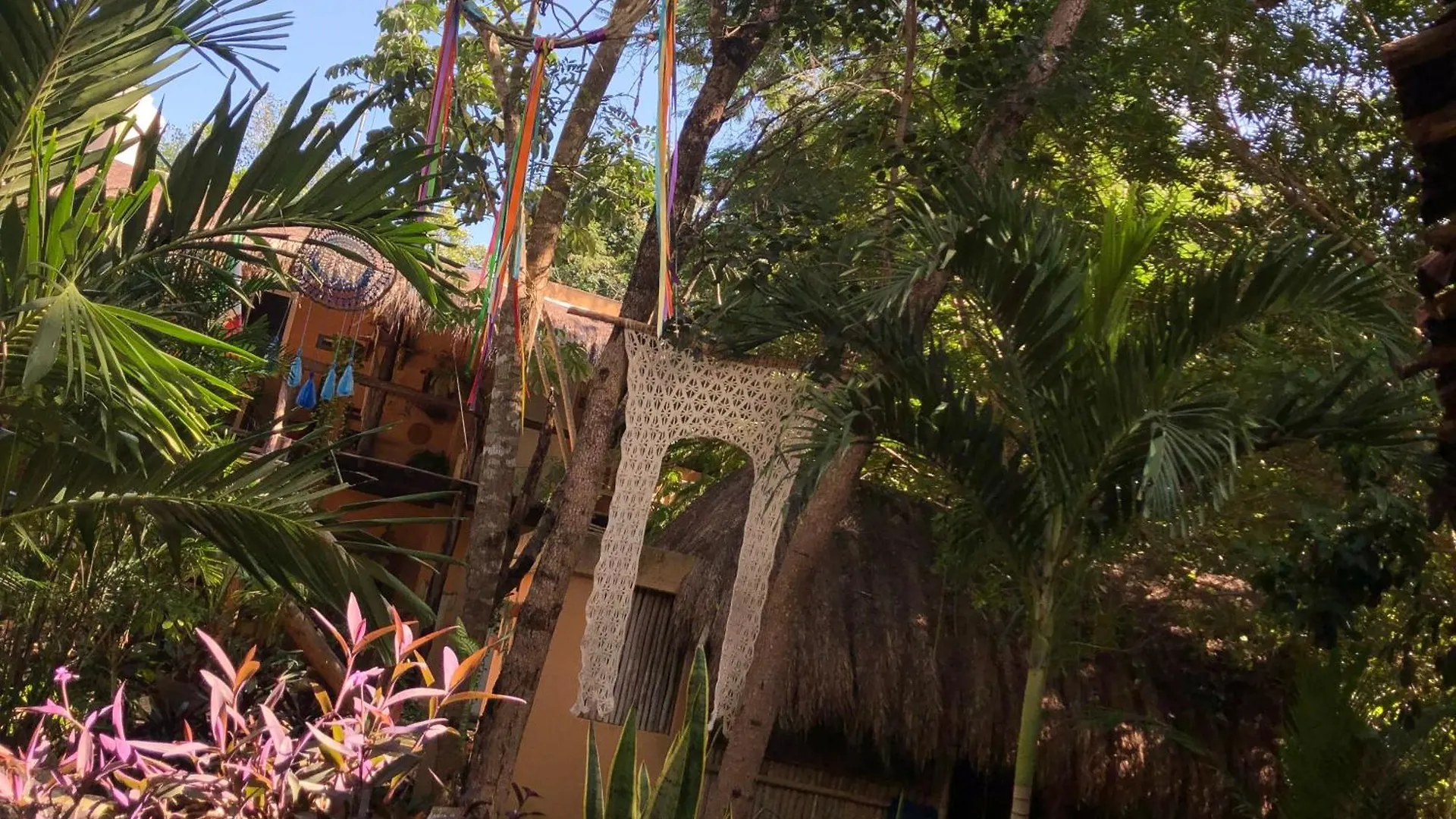 Bed and Breakfast Casa Tzalam Tulum Selva