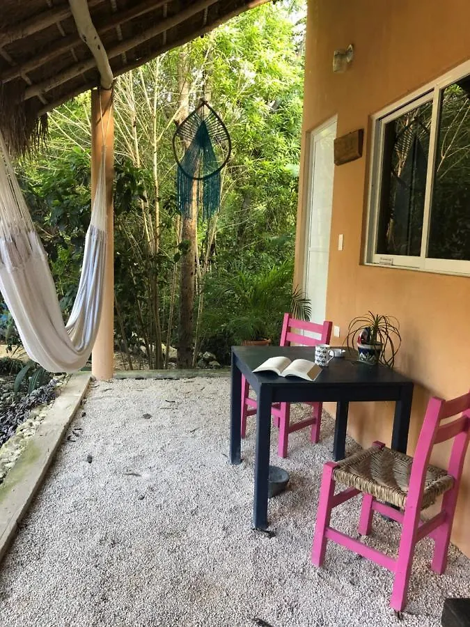 ***  Bed and Breakfast Casa Tzalam Tulum Selva México